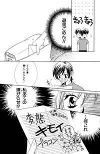 Darenimo Ienai Maru himitsu + vol.12 Forbidden Love