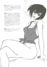 (C68) [STUDIO TRIUMPH (Mutou Keiji)] AstralBout Ver 9.5 (Mobile Suit Gundam SEED)
