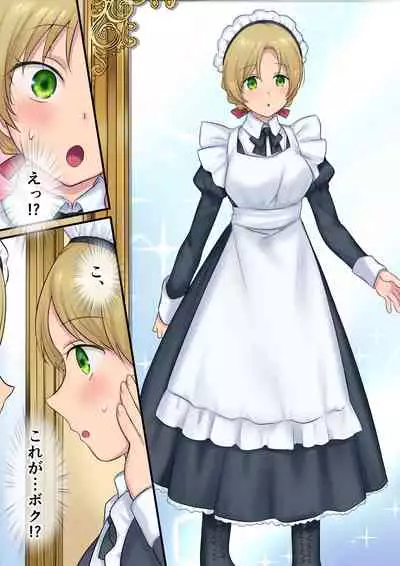 Leave it to the fairies! Three things to know about feminized fairies