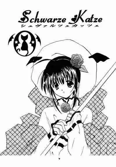 Schwarze Katze