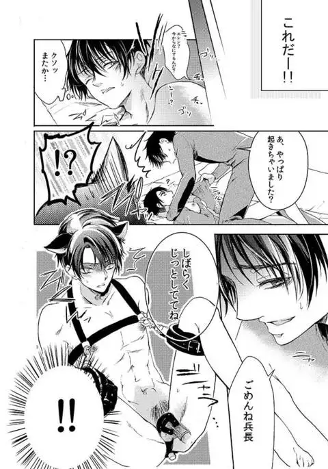 Futago neko hiroimashita