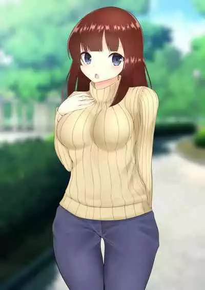 ASFR Jiken Chousa Kiroku