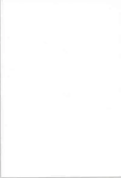 Wandering In The World 3