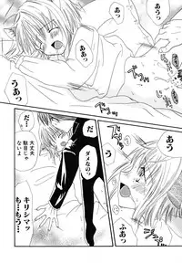 [Kotori Kirihara] Seijunbyou