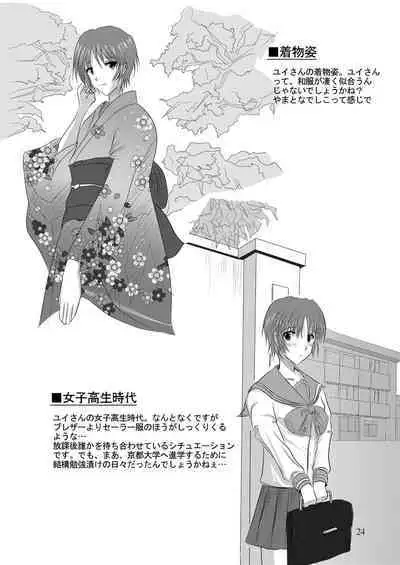 Yui Ikari 10th Anniversary Book - beyond the time