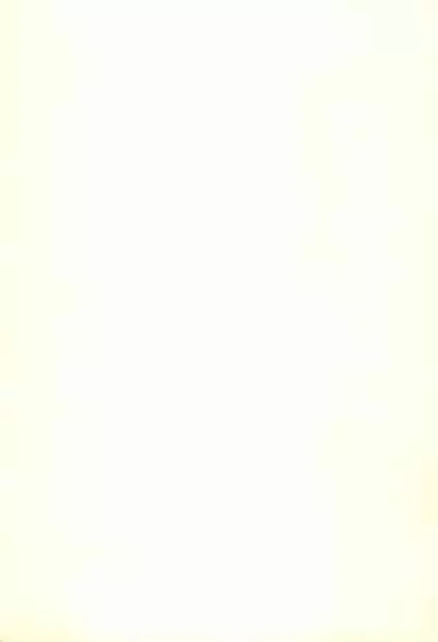 (CR17) [SYSTEM GZZY (Eimu Yuu)] VIOLIN