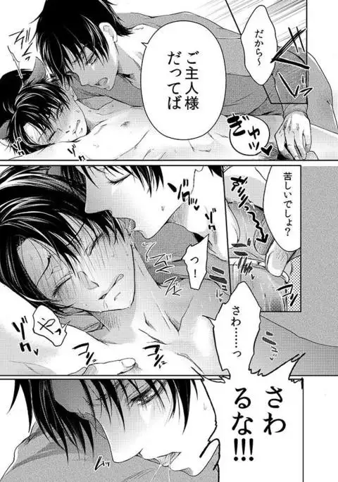 Futago neko hiroimashita