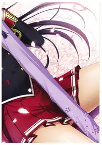 Walkure Romanze More & More Visual Fan Book