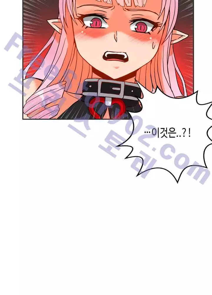 Johnson Contractor Ch.0-29