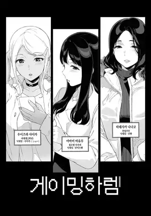 Gaming Harem | 게이밍 하렘