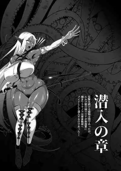 Inmon Akuochi no Hime Kishidan