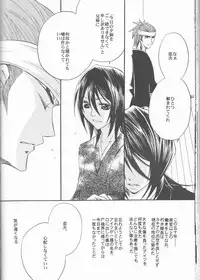 (C73) [Utsumuki Garden (Aotsuki Kakka)] Sputnik (Bleach)