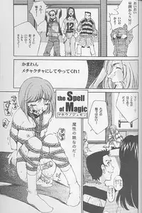 (C55) [ANARCHY SOX (Emori Misaki)] 12x12 GROSS (Various)