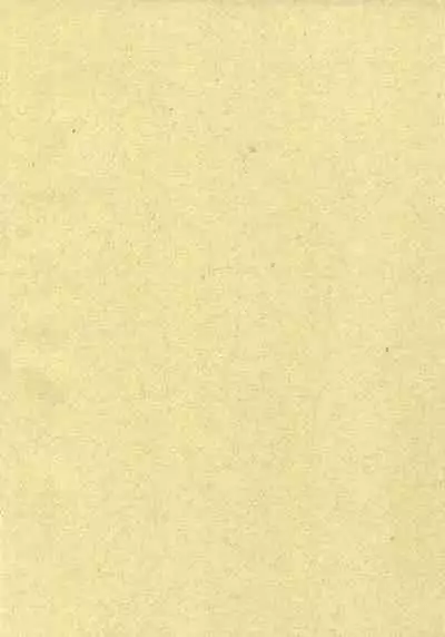 (C74) [Central (Sano Takashi)] Natsuyasumi