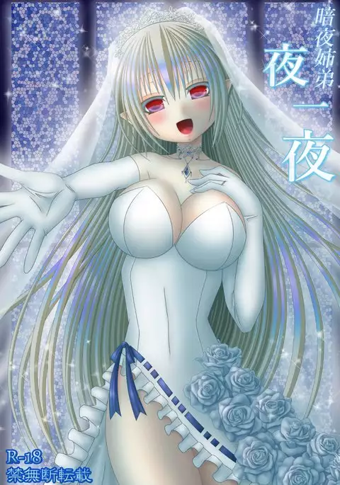 暗夜姉弟夜一夜