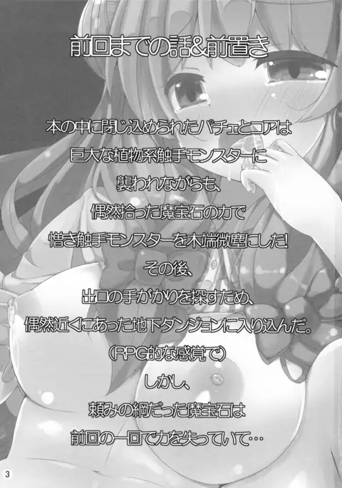 魔女っ娘パチュリーたん2