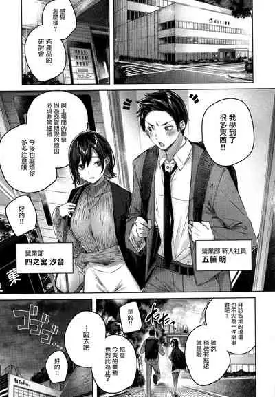 Shiko Splash + 4P Leaflet