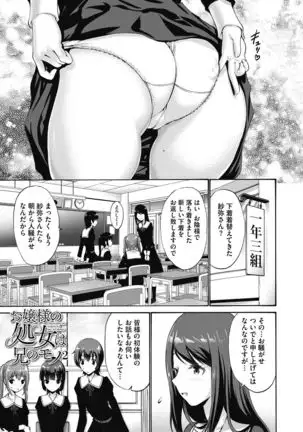 Ojou-sama wa Koibana ga Osuki