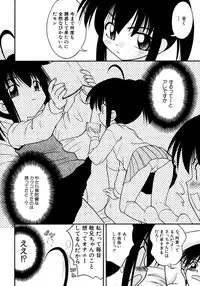 [yeahhhy tomii] Meconopsis