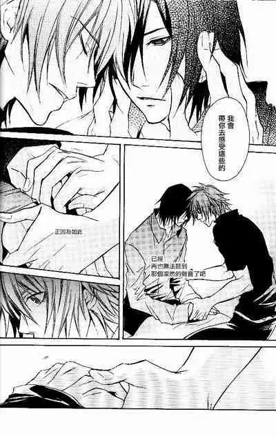 RAGDOLL | 破碎玩偶