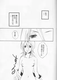 (C65) [Tax inn (Kisu Yoshimitsu)] FALLEN (Bleach)