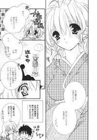 [Chitose Rin] Koboreru Kajitsu | Spilling fruits