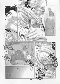 (C64) [DiGiEL (Yoshinaga Eikichi)] Black Cherry (Cardcaptor Sakura)