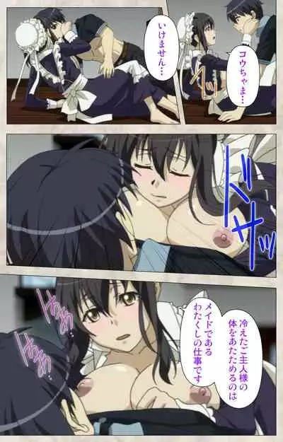 Ane Yome Quartet Kanzenban