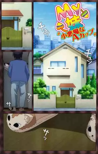 My Imouto Koakuma na A-Cup complete ban