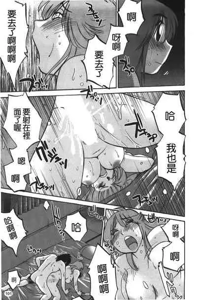 hirugao | 白日之顏