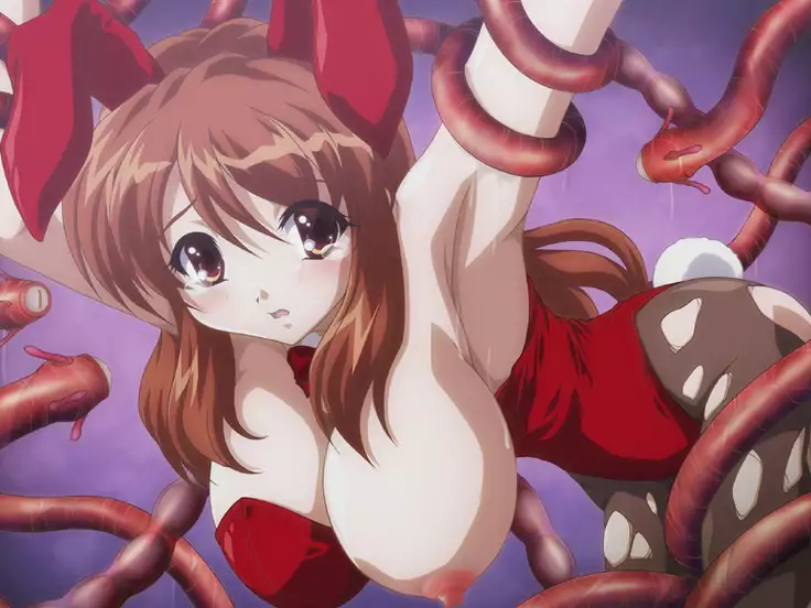 Union Bokujou Baraetibox