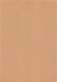 (C88) [EX- (Ocodo)] Bitch no Tawamure (VOCALOID)