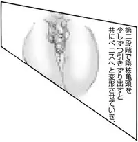 [Kame no Onaka] CORRUPT&ROTTEN Cutey Liddy no Funiku no Andouille "Sono San"