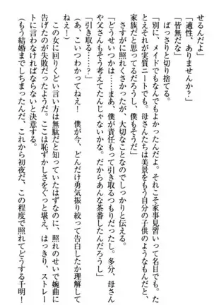 年上メイドの新婚日記