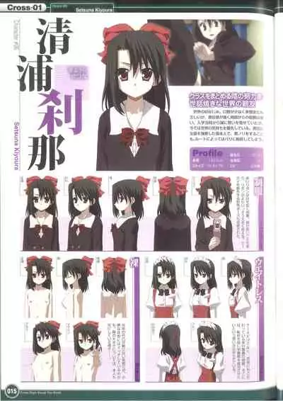 Cross Days Visual Fan Book