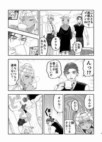 Wizard's love affairs