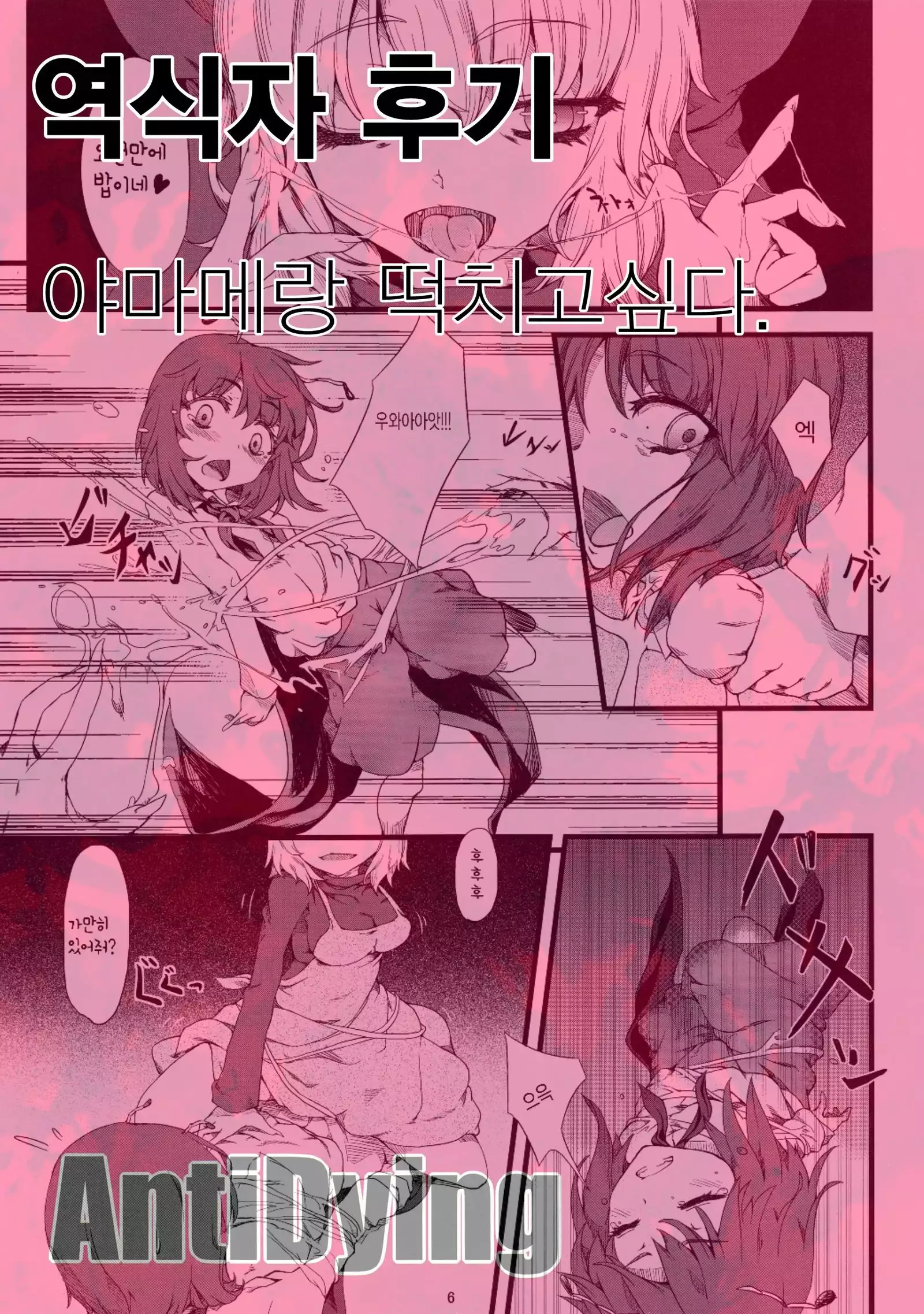 Wriggle Net | 리글 웹