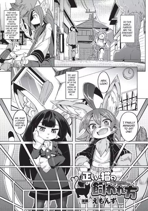 Tadashii Neko no Kawa Rekata