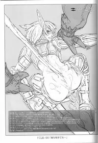 (C67) [NP Virus Jouryuusho (N-P-KATOU)] Mithman Report FILE:00-FILE:15 (Final Fantasy XI)