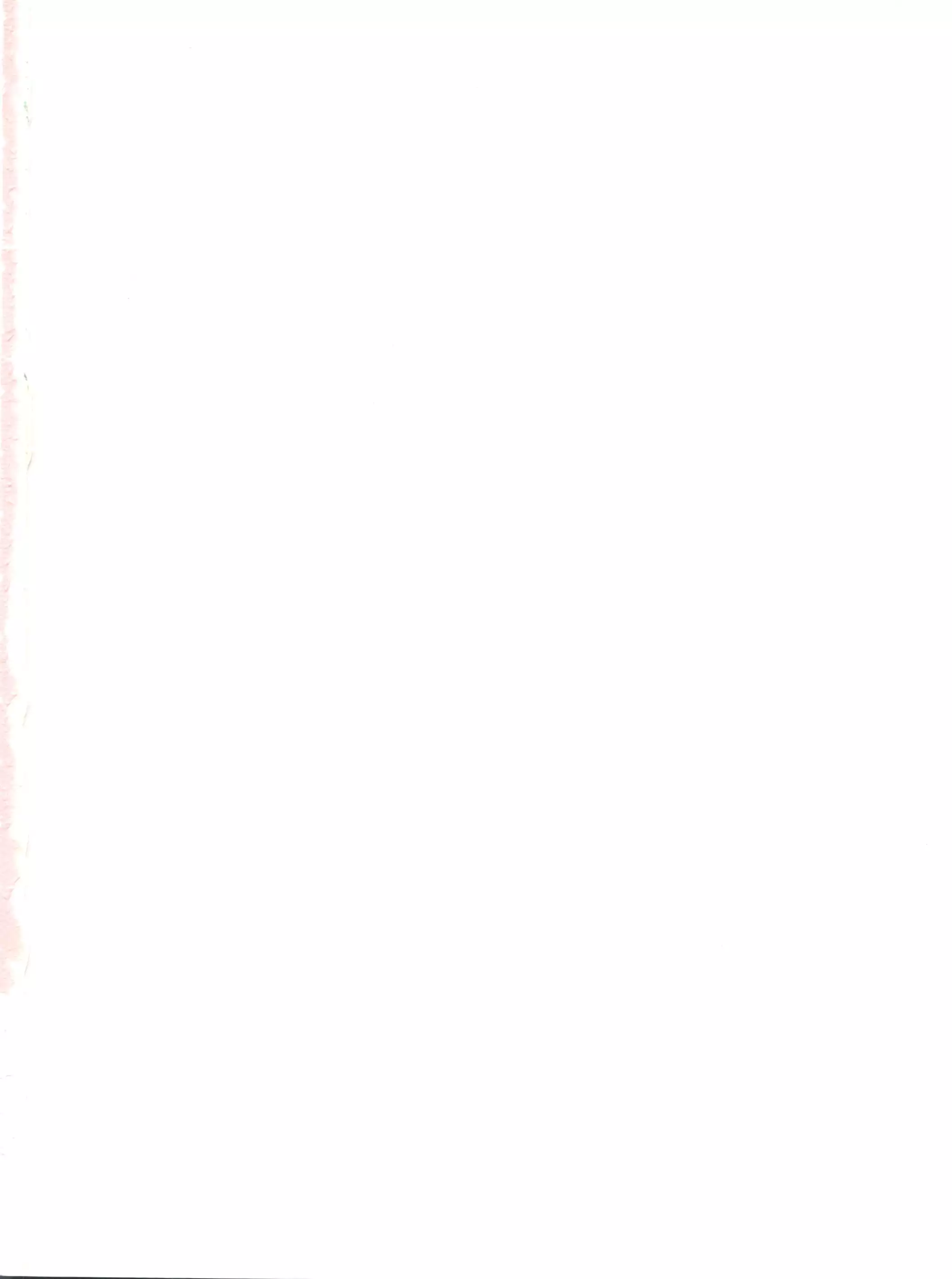 Special Kimigabuchi 2000 Summer