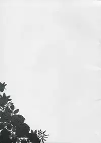 (Futaba Gakuensai 3) [Circle Gisou Senmon Ten (Shinkan「」)] Bara-iro no Shirt o Kite. (Shinrabansho, Rozen Maiden)