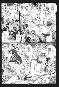 (C85) [Kuma no Mori (Kumataro)] FLESH HOLE (Touhou Project)