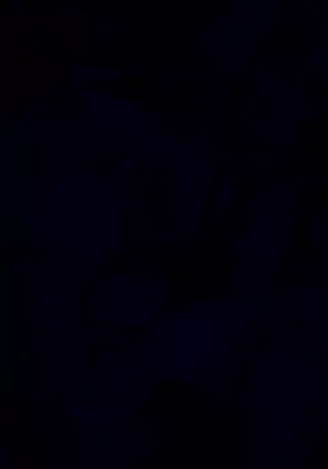 リク絵 ルーシーちゃん