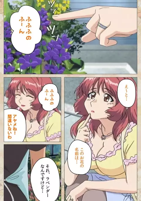 Aniyome wa Ijippari #01 Complete Ban