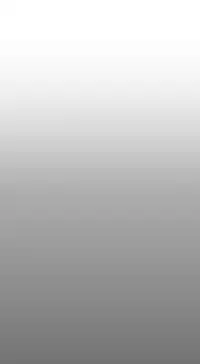 姐妹丼饭 Sister rice Chinese Rsiky