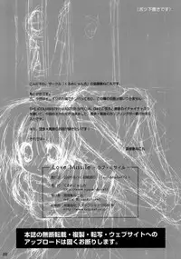 (C76) [Courmet-Nyankichi (Nekoyashiki Nekomaru)] Love Missile (THE iDOLM@STER)