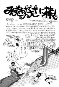 [Mizuki Hitoshi] Satellite Paradise