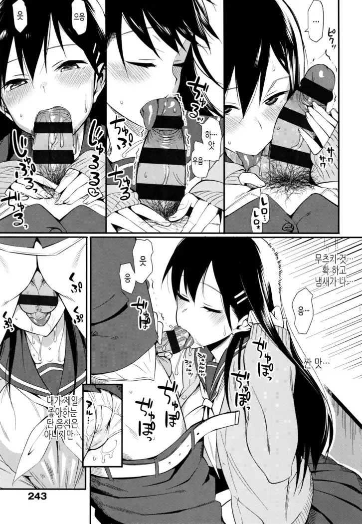 연인사이 plus / コイナカplus