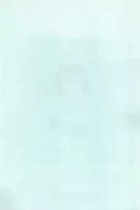 (C56) [Mutekei-Fire (Yuuichi)] Dreamers (Various)