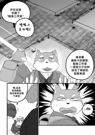 Killer Whale & Niterite 3